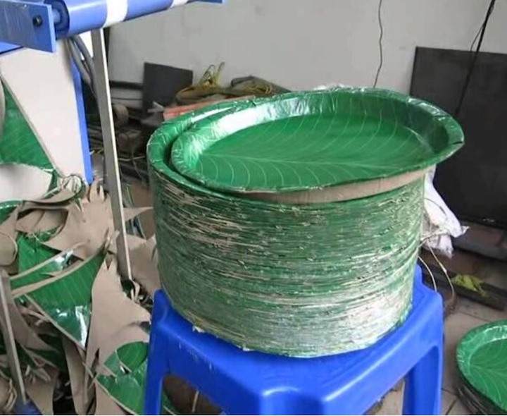 పేపర్ ప్లేట్లలో భోజనం చేస్తే క్యాన్సర్ వస్తుందా?