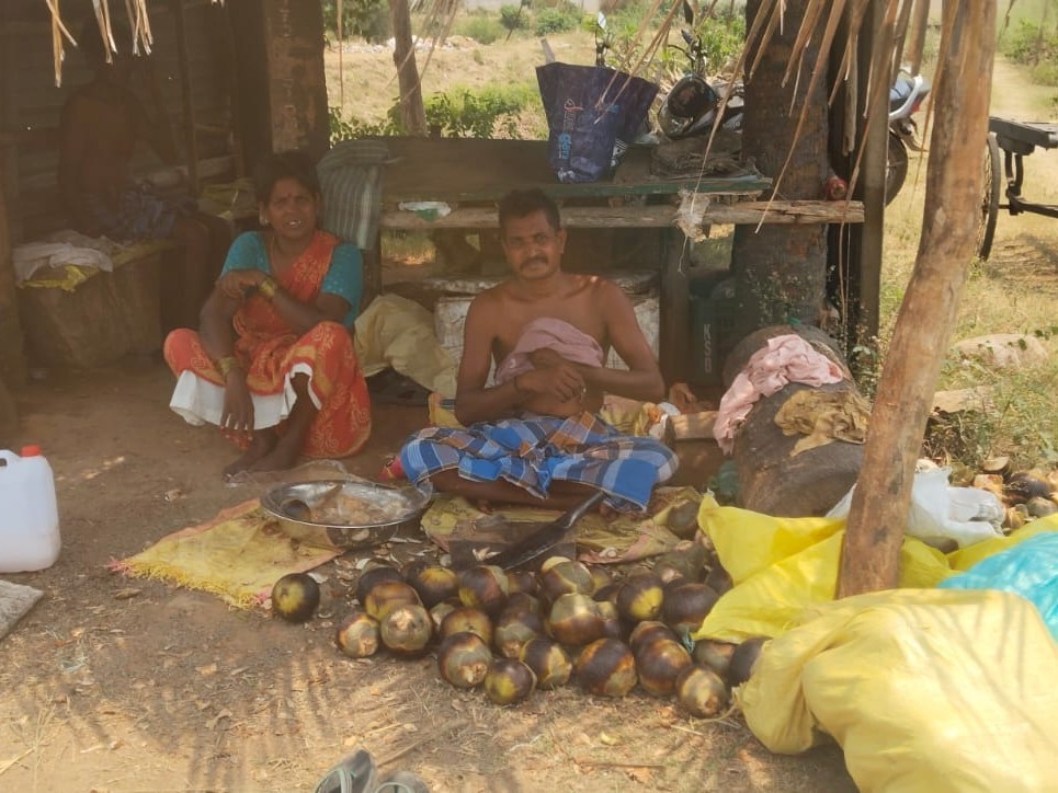 వేసవిలో పెరుగుతున్న తాటి ముంజులకు గిరాకీ