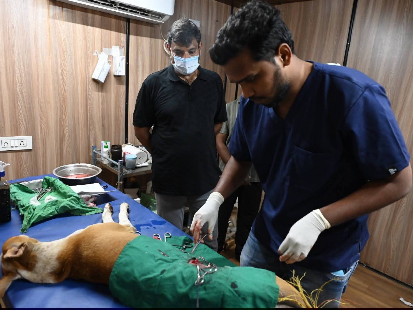 కుక్కల నియంత్రణకు చర్యలు.!