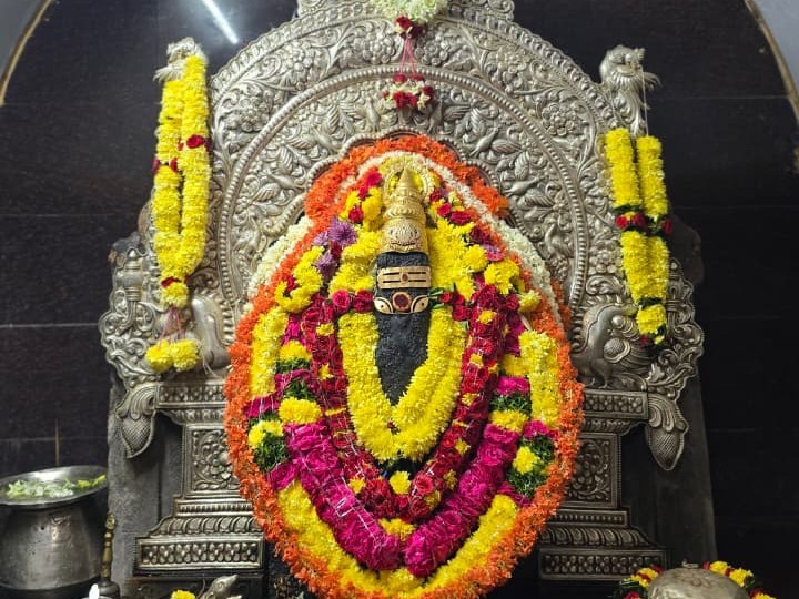 విఘ్నేశ్వర స్వామి ఆదాయం వివరాలు