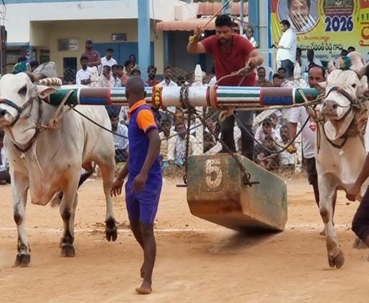 బండలాగుడు పోటీలలో విజేతలు వీరే..!