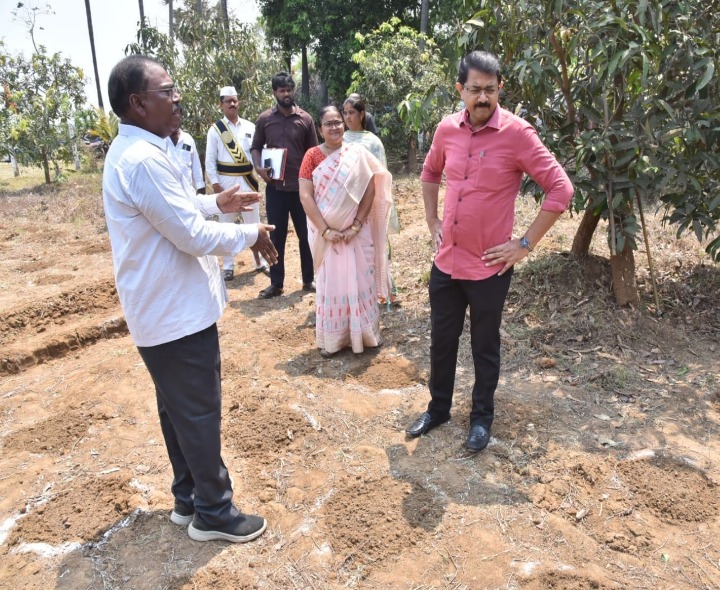 ప్రకృతి వ్యవసాయాన్ని ప్రోత్సాహంచండి: కలెక్టర్