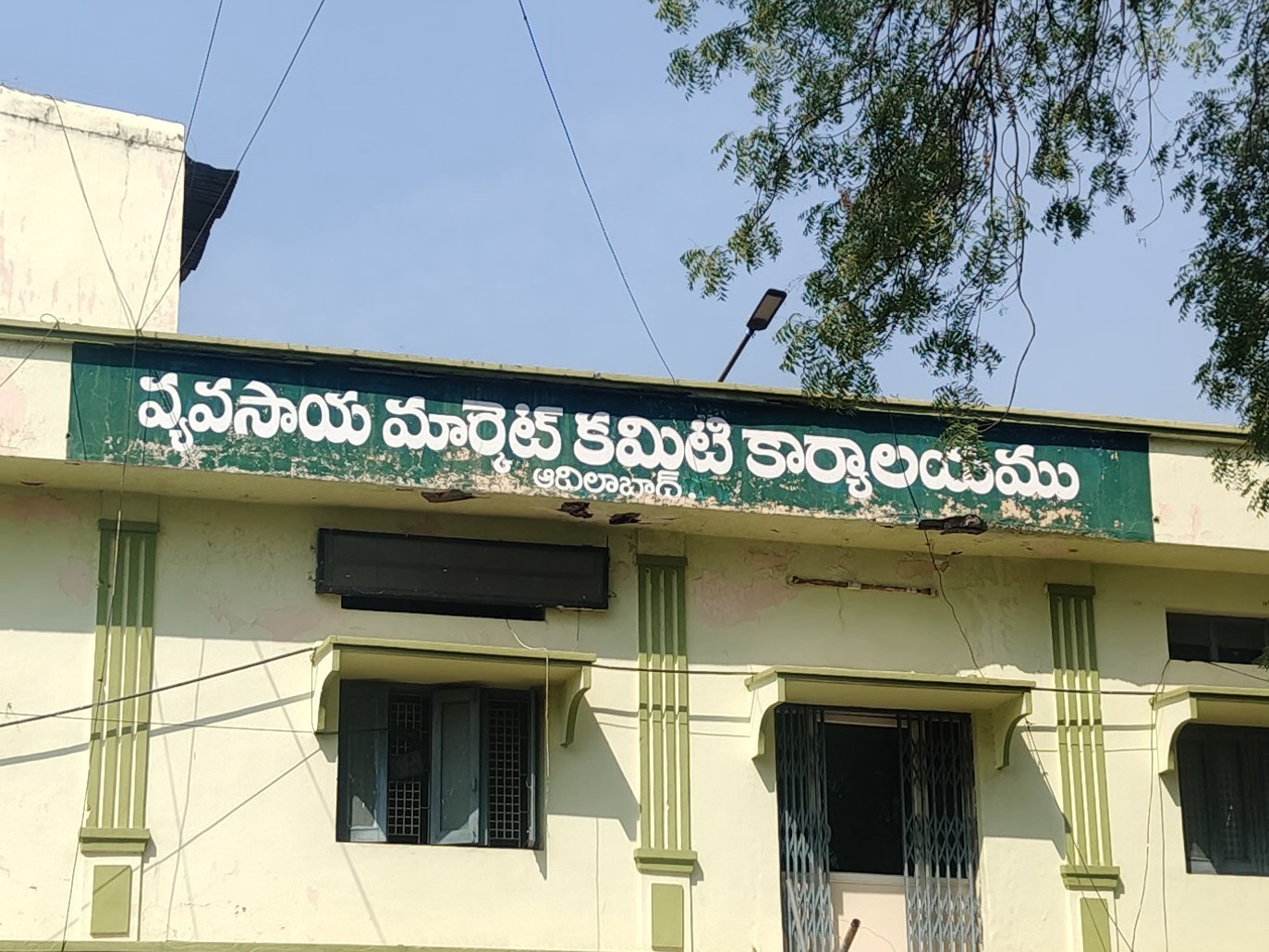 నేడు, రేపు మొక్కజొన్న కొనుగోలు బంద్