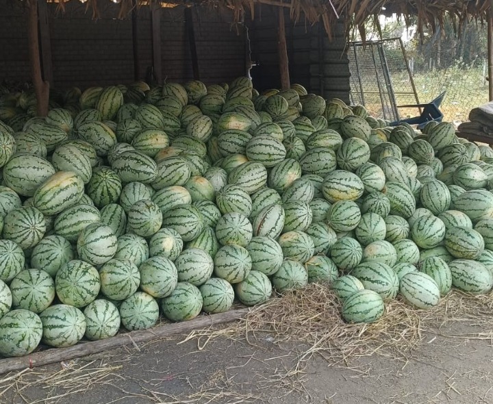 అమాంతం పెరిగిన పుచ్చకాయల ధరలు