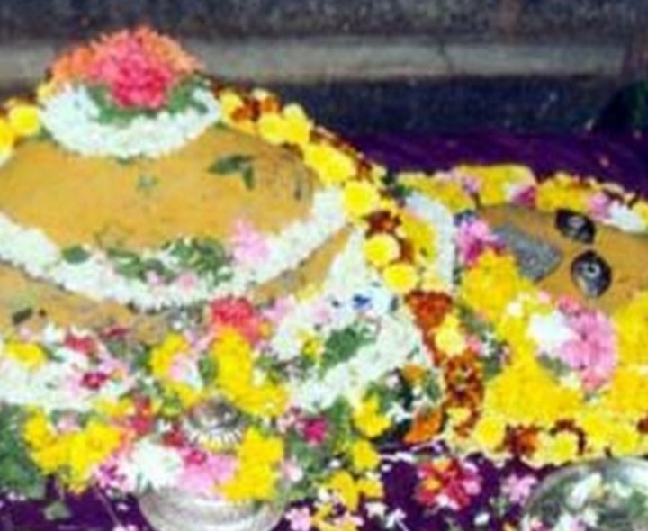 ఉపరాష్ట్రపతి పర్యటనకు శ్రీకూర్మ క్షేత్రం ముస్తాబు