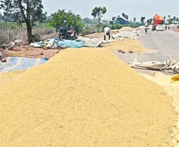 జిల్లాలో 1,66,101 మెట్రిక్ టన్నుల ధాన్యం సేకరణ