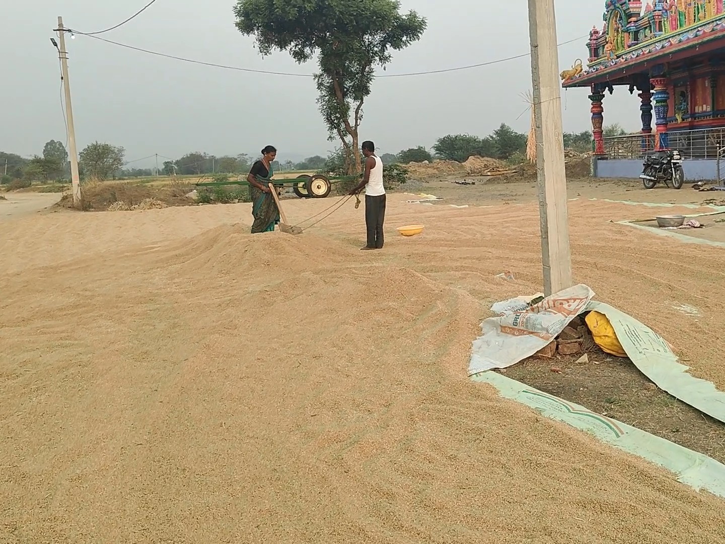 రోడ్లపై ధాన్యం వేయబోం.. మానవత్వం చాటిన రైతన్నలు..!