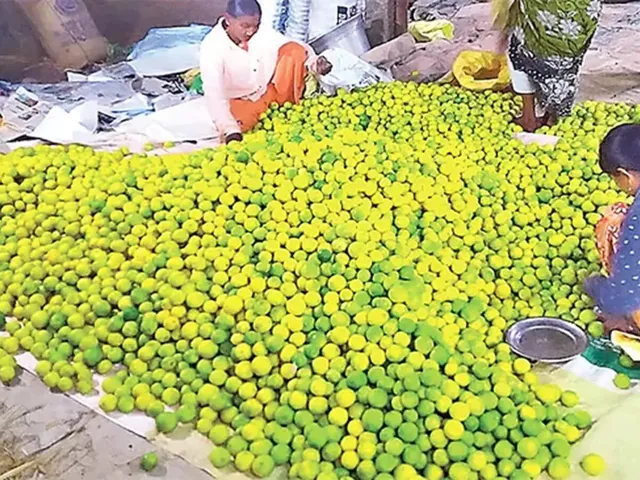 మార్కెట్‌లో నిమ్మకాయలకు భారీ ధర