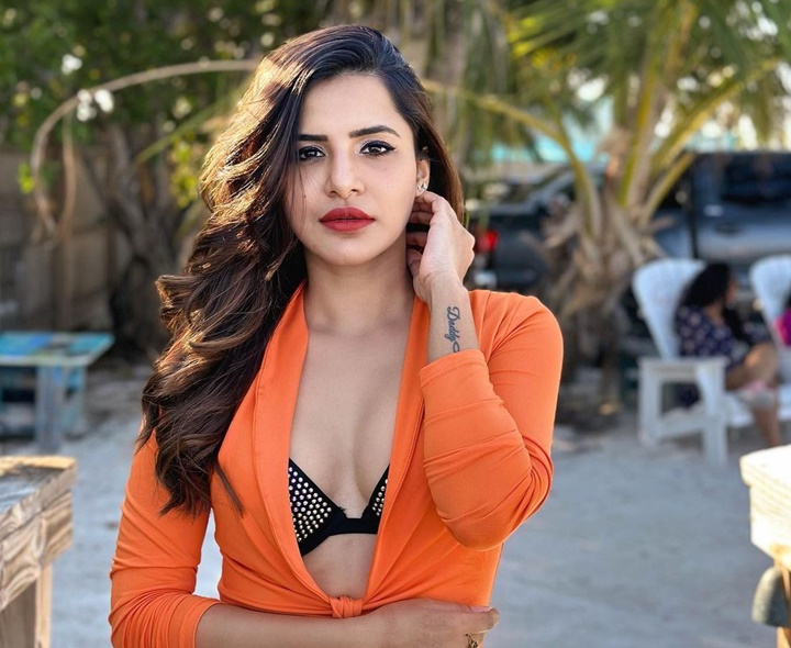 బిగ్‌బాస్ ఫేమ్ అషురెడ్డిపై నాన్ బెయిలబుల్ కేసు