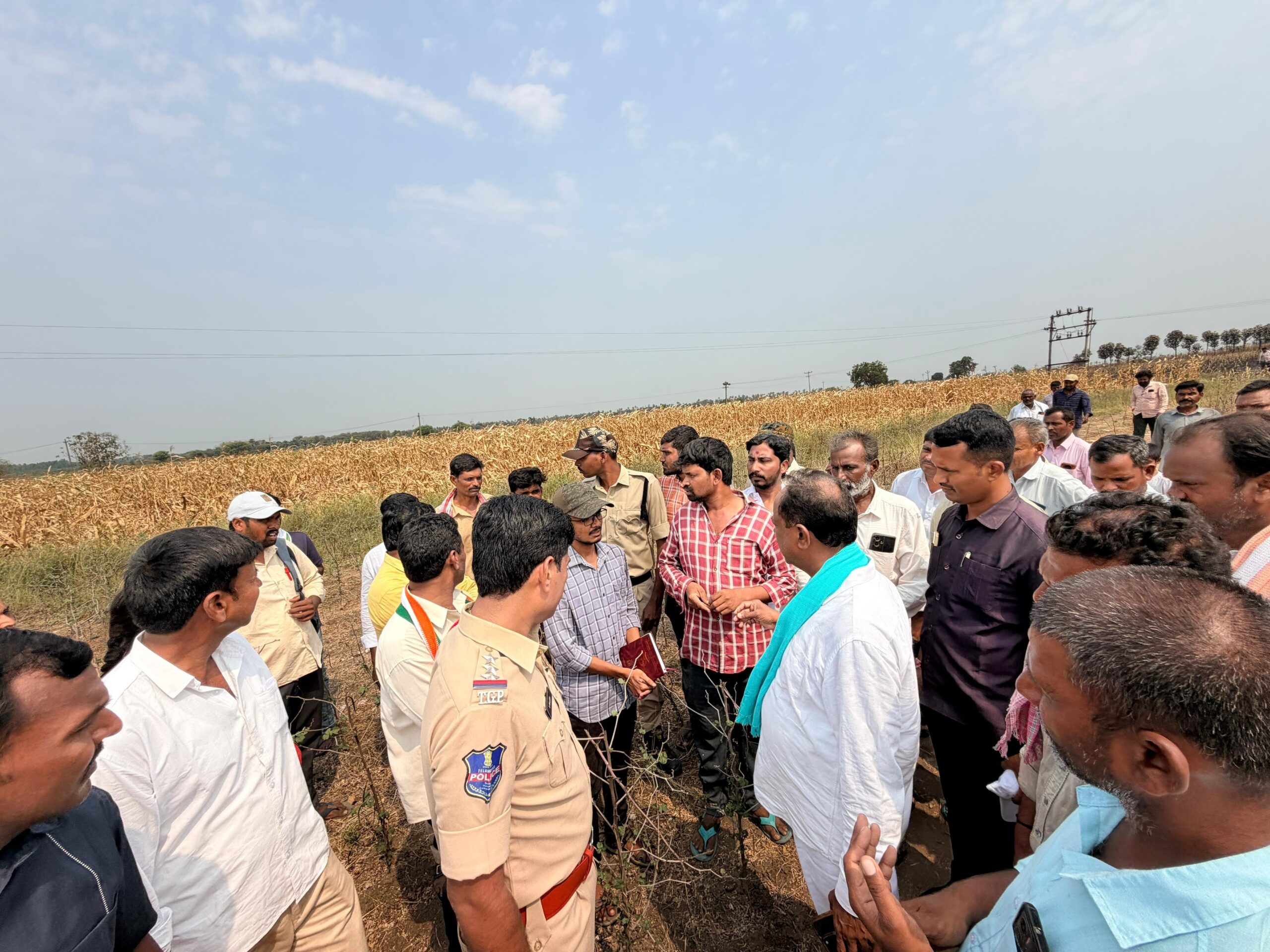 పంటలను పరిశీలించిన ఎమ్మెల్యే గండ్ర