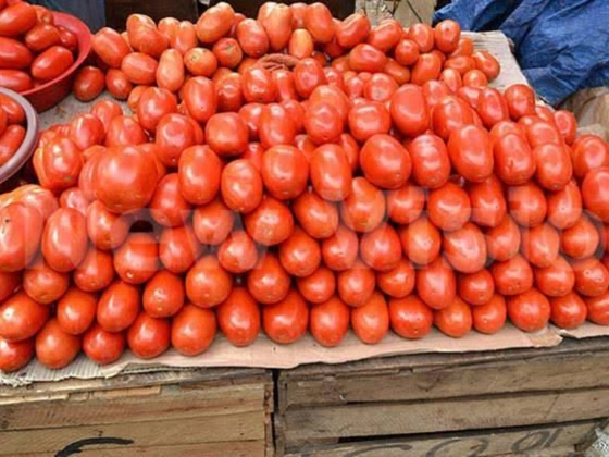 జిల్లాలో టమోటా మార్కెట్లలో అక్రమాలకు చెక్