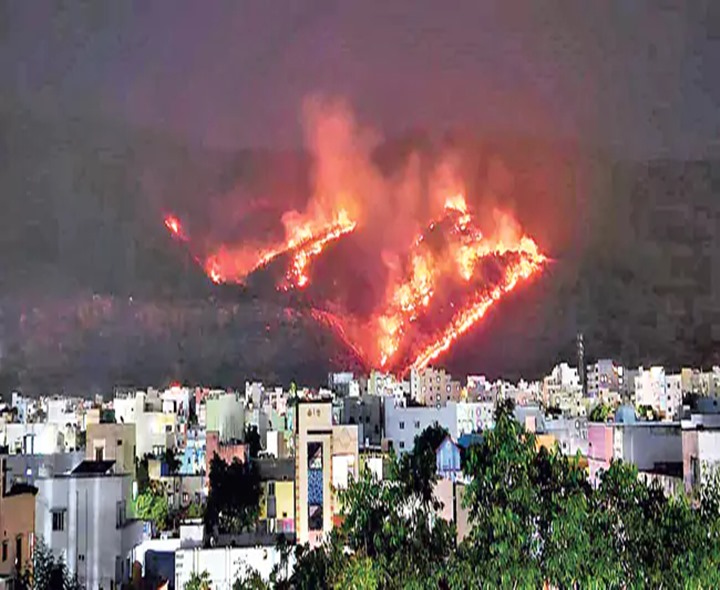 శేషాచలం అడవిలో భారీ అగ్నిప్రమాదం