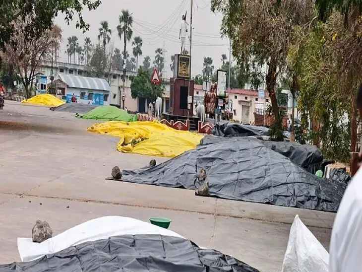 తీరని రైతున్నల గోస..!