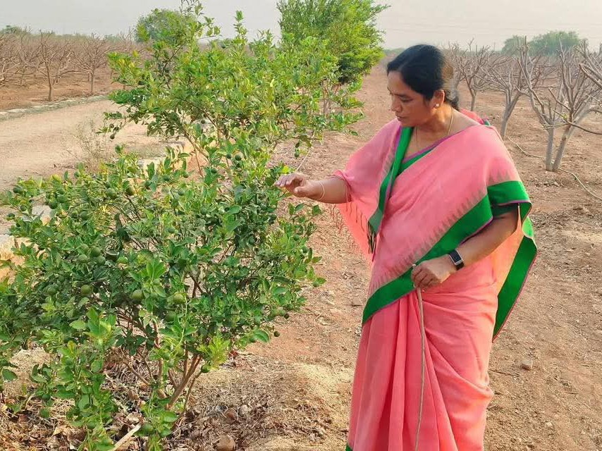 వ్యవసాయ క్షేత్రంలో పరిటాల సునీత