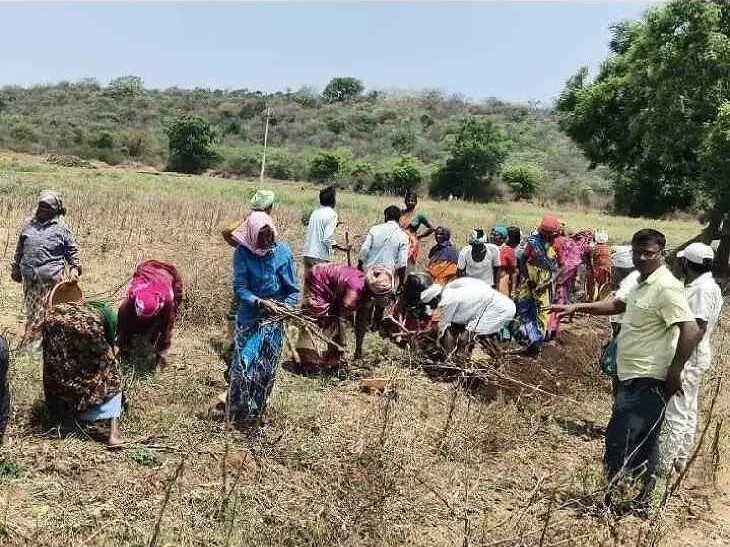 ఉపాధి హామీ పనులపై ఏపీవో తనిఖీ