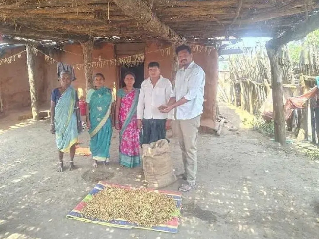 ఇప్పపువ్వు కొనుగోళ్లు ప్రారంభం