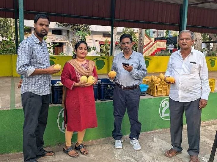 కార్బైడ్‌ రహిత మామిడి పండ్ల మేళా ప్రారంభం