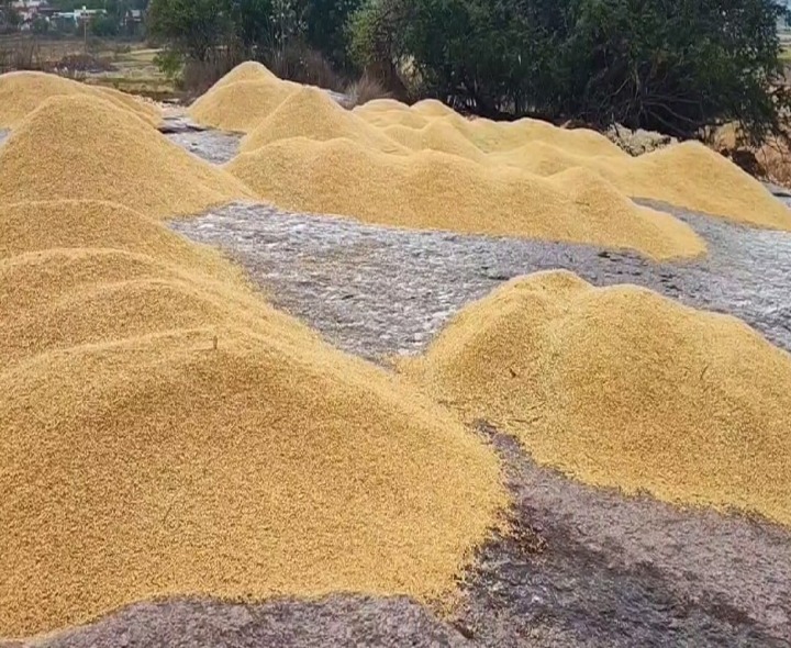 ఈదురు గాలులతో వడగండ్ల వర్షం.. తడిసిన ధాన్యం