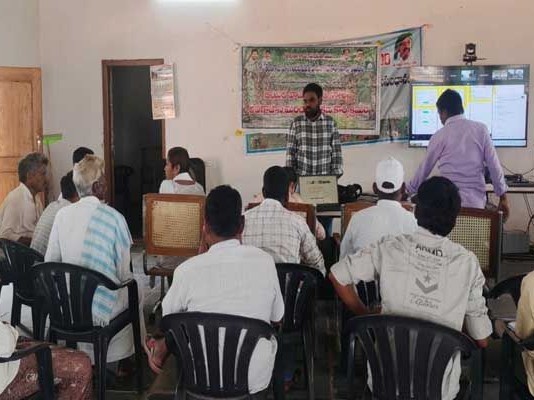 ఆయిల్ ఫామ్ సాగుతో లాభాలు