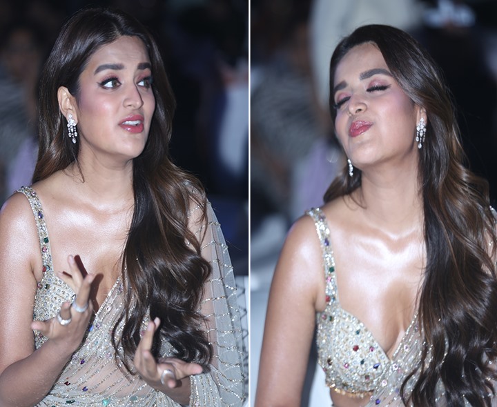 నిధి అగర్వాల్‌కు నెలకయ్యే ఖర్చు ఎంతంటే?