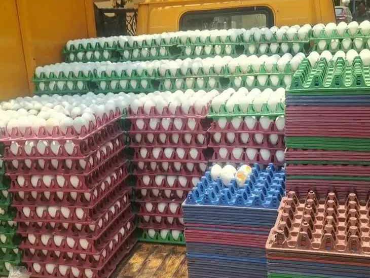 కొండెక్కిన కోడిగుడ్డు ధరలు..!