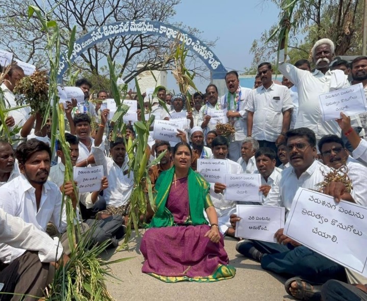 రైతులకు గిట్టుబాటు ధర ప్రకటించాలి: ఉషశ్రీ