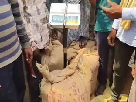 మొక్కజొన్న తూకంలో మోసం