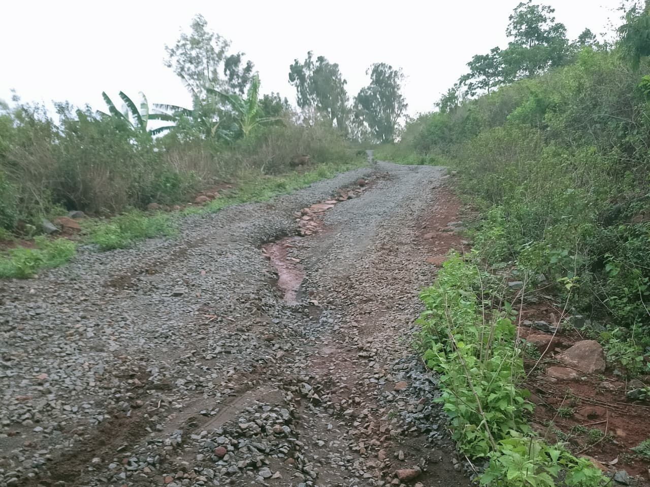 రోడ్డు కోతతో గిరిజనులకు ఇబ్బందులు