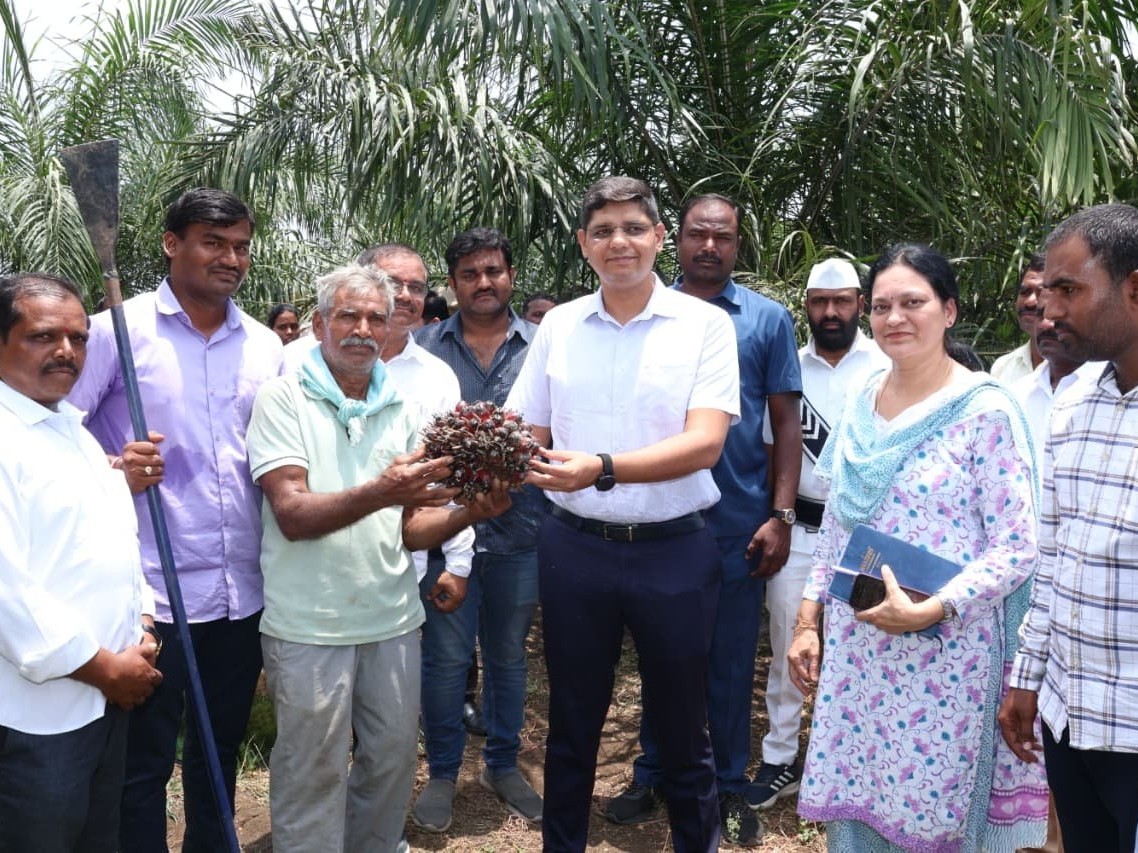 ఆయిల్ పామ్ సాగుతో అధిక ఆదాయం: కలెక్టర్