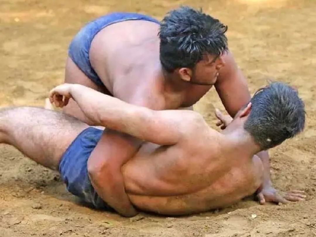 ఈ నెల 27న సుల్తాన్‌నగర్‌లో కుస్తీ పోటీలు