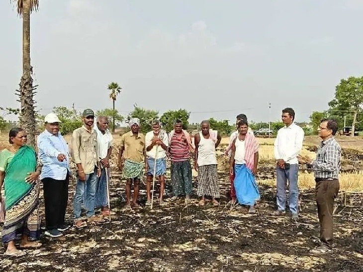 ‘వరి కొయ్యలతో భూసారం దెబ్బతింటుంది’
