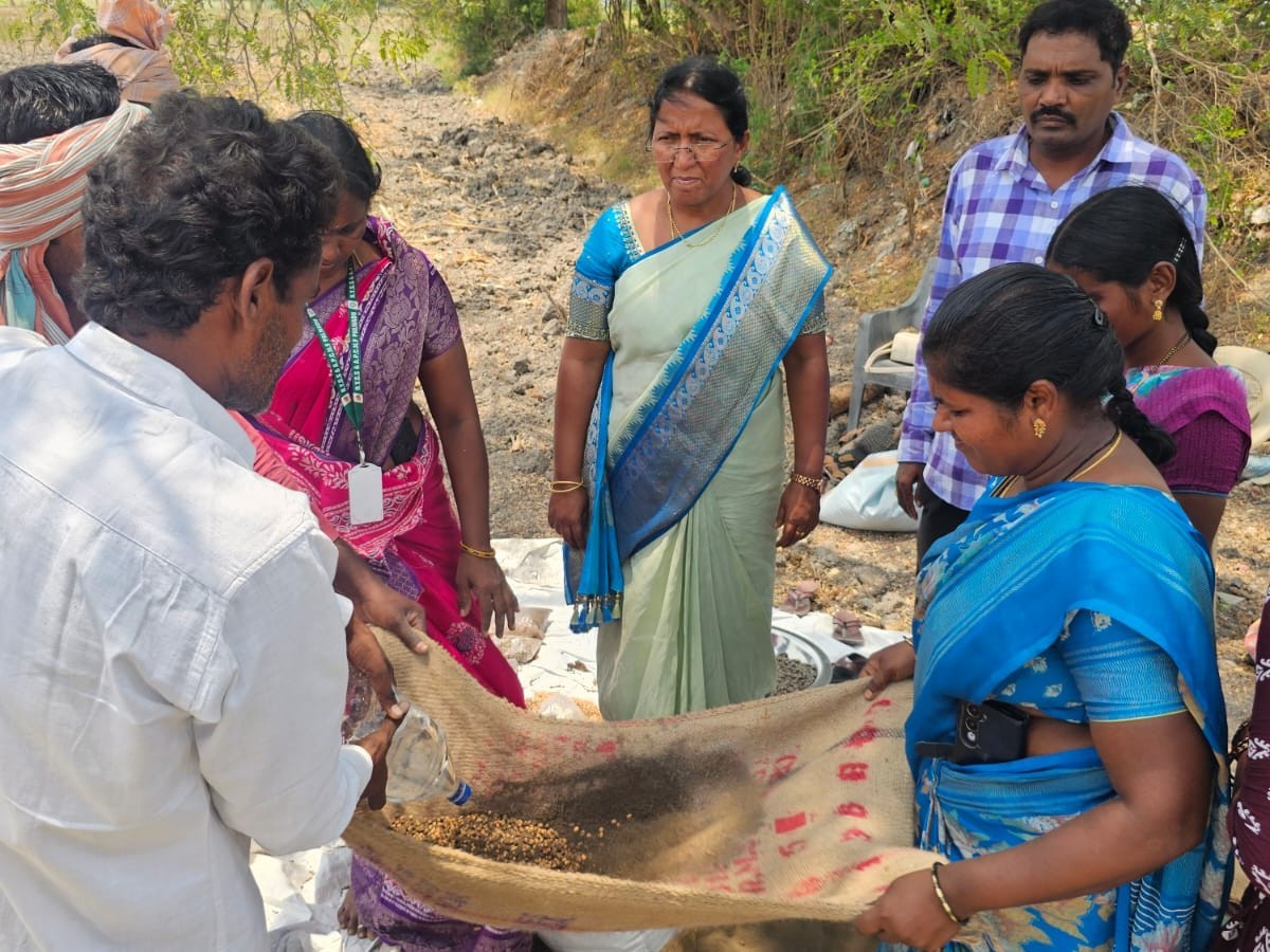 ‘ఎల్‌నీనో ప్రభావానికి ప్రకృతి వ్యవసాయమే పరిష్కారం’