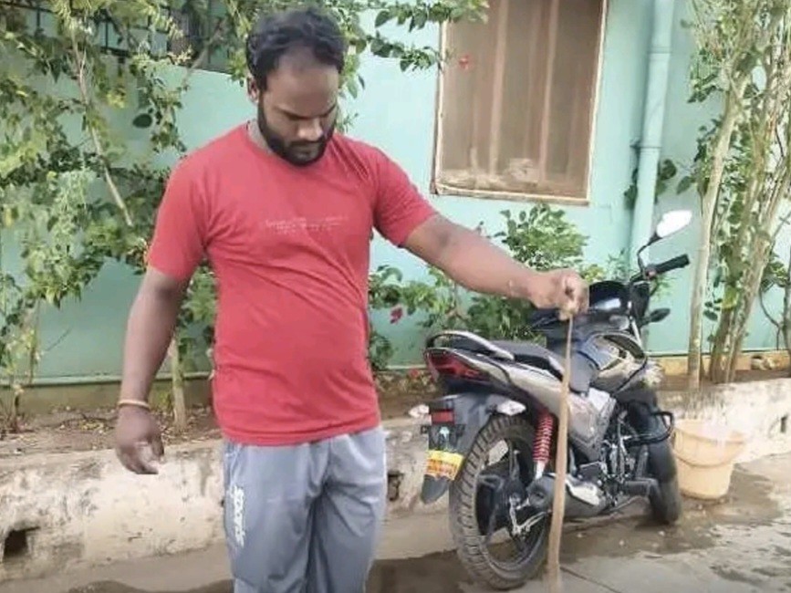 పాము కలకలం.. పట్టుకున్న స్నేక్ క్యాచర్