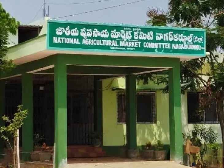 నాగర్‌కర్నూల్ మార్కెట్‌కు మక్కల వెల్లువ