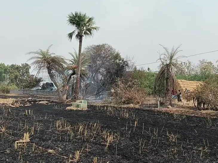 తాడికల్‌లో అగ్ని ప్రమాదం.. వరికొయ్యలు దగ్ధం