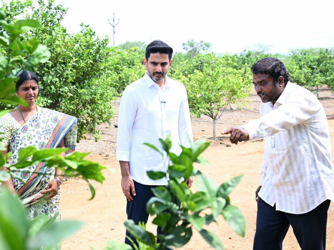 ప్రకృతి వ్యవసాయాన్ని పరిశీలించిన మంత్రి