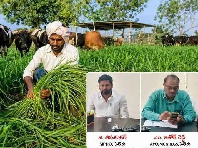పశుగ్రాసం పెంపకానికి దరఖాస్తుల ఆహ్వానం