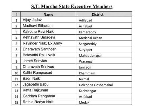 బీజేపీ ఎస్టీ మోర్చా కార్యవర్గ సభ్యులుగా బద్రీ నాయక్