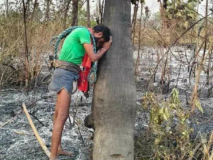 మంటల్లో తాడిచెట్లు దగ్ధం.. గీత కార్మికుడి ఆవేదన