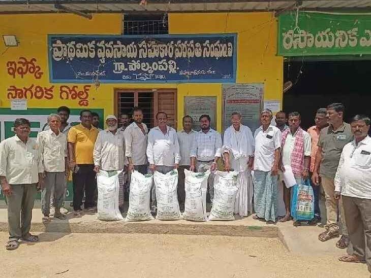 జీలుగా విత్తనాలపై 50 శాతం సబ్సిడీ