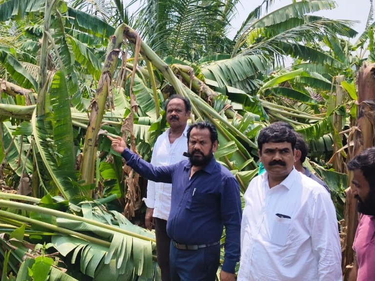 పంట నష్టాన్ని పరిశీలించిన ఎమ్మెల్యే