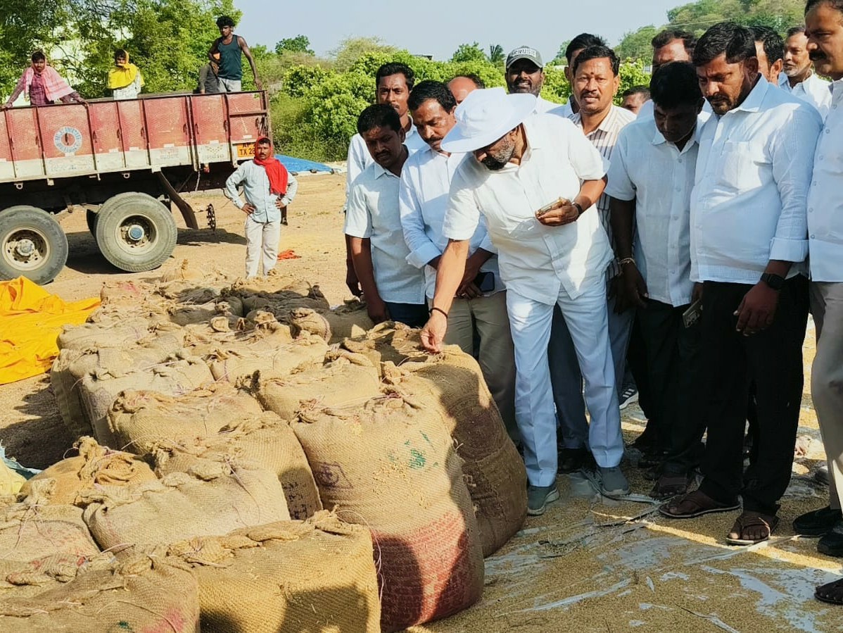 కొనుగోలు కేంద్రాన్ని పరిశీలించిన జువ్వాడి