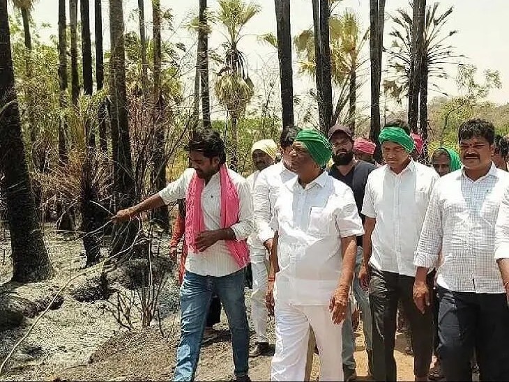 దగ్ధమైన తాటి చెట్లు పరిశీలించిన మాజీ మంత్రి