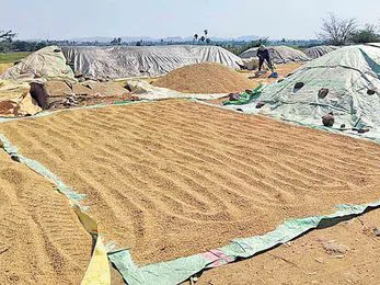 నత్త నడకన.. ధాన్యం కొనుగోళ్లు