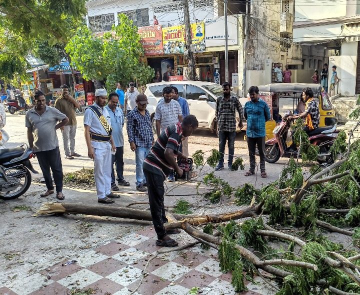 కూలిన చెట్ల తొలగింపుకు మున్సిపల్ చర్యలు