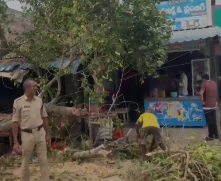రోడ్డుకు అడ్డం పడిన చెట్టు.. తప్పిన పెనుముప్పు