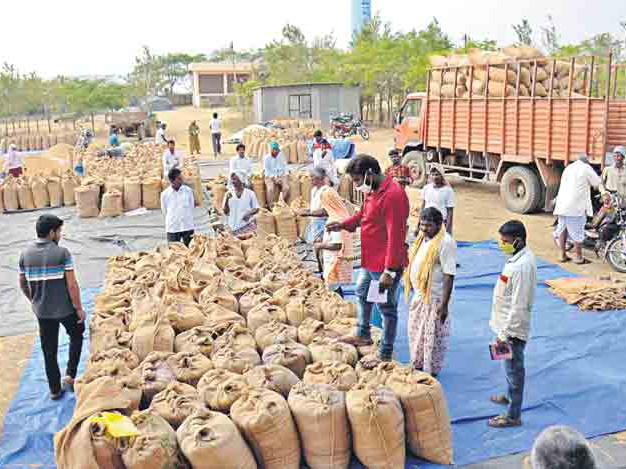 జిల్లాలో క్లైమాక్స్‌కు చేరిన ధాన్యం కొనుగోళ్లు