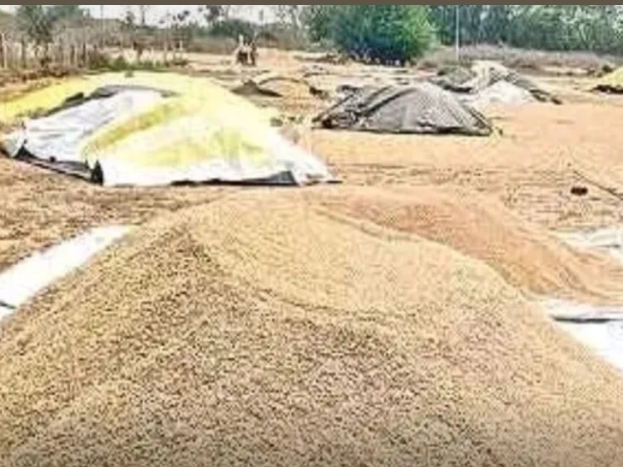 అందుబాటులో లేని హత్నూర ఏఈఓ రమేష్