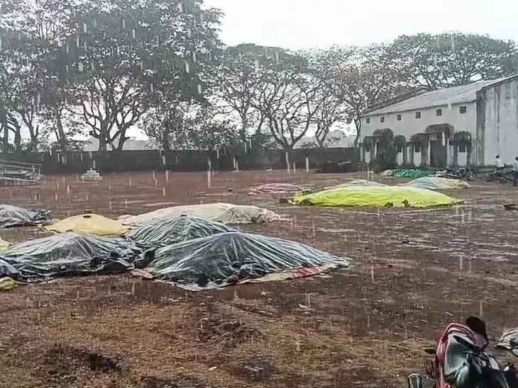సాయంత్రం కురిసిన వర్షానికి తడిసిన ధాన్యం