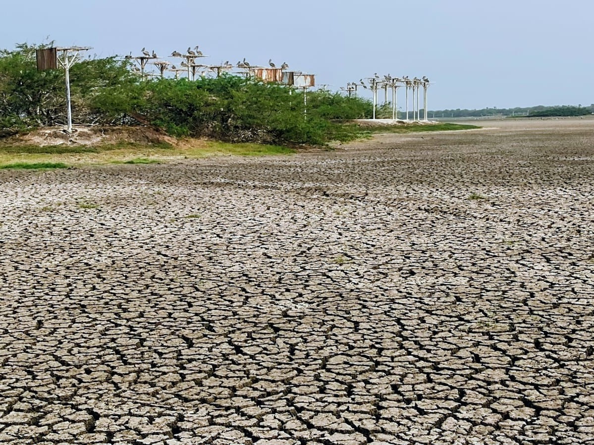 ఎడారిలా మారిన పెలికాన్ ప్యారడైజ్